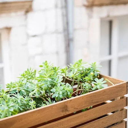 Maison d'hôtes Live Laugh Luxury